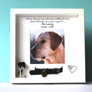 Dog Collar Memorial Photo Frame